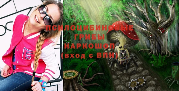 а пвп мука Заволжье