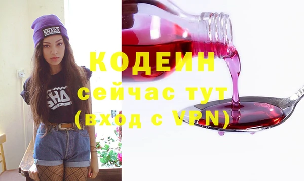 твердый Заводоуковск