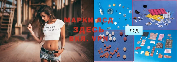 твердый Заводоуковск