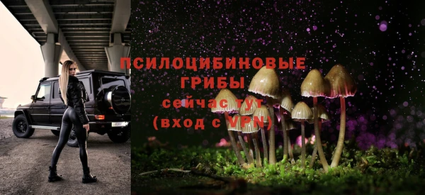 твердый Заводоуковск